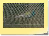 HPIM0429